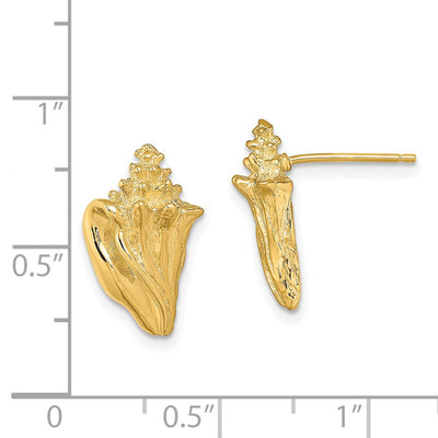 14K 2-D Conch Shell Post Earrings, 15.45 x 10mm