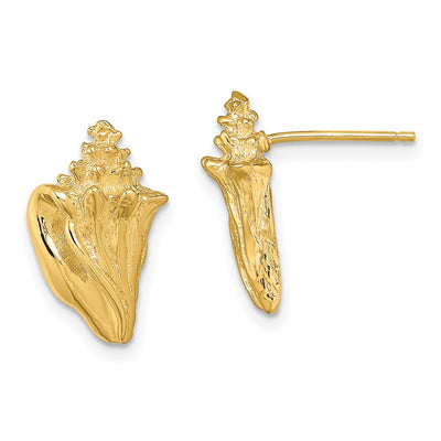 14K 2-D Conch Shell Post Earrings, 15.45 x 10mm