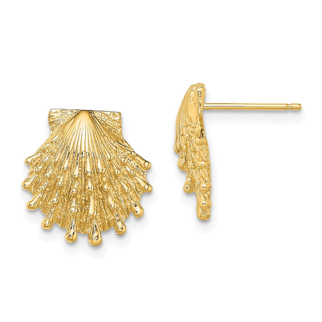 14K Lion's Paw Shell Post Earrings, 13.9 x 13.5mm