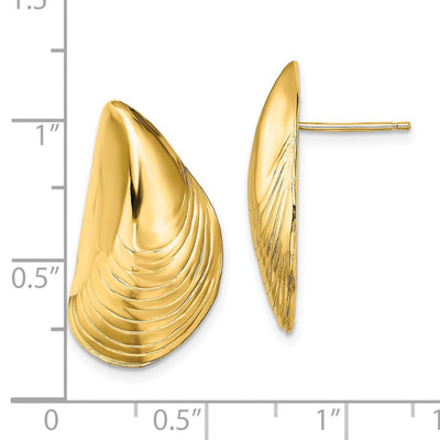 14K Polished Mussel Shell Post Earrings