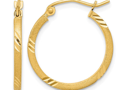 14K gold hoop earrings