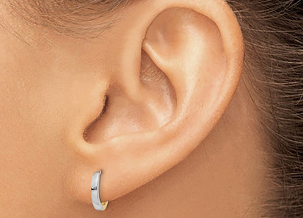 14k Two-tone Round Hinged Hoop Earrings (Style TL157)