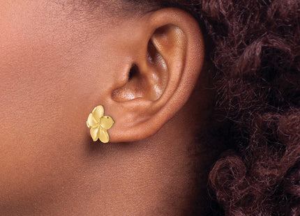 14k Yellow Gold Earrings Style TM761 - Classique Jewelry Inc.