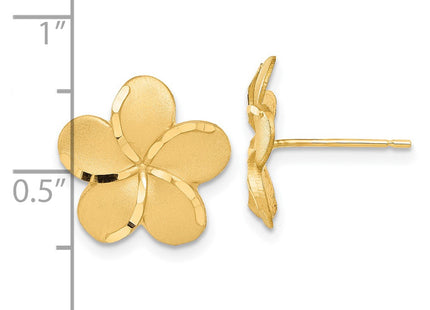 14k Yellow Gold Earrings Style TM761 - Classique Jewelry Inc.