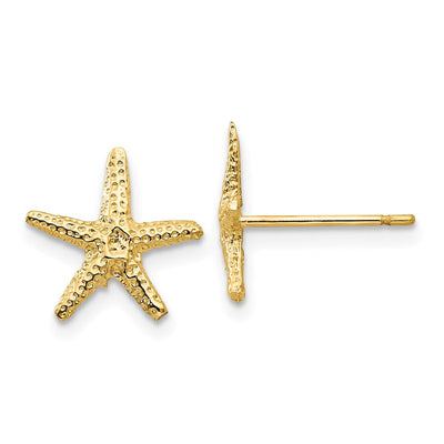 14K Starfish Post Earrings, 11 x 11mm
