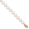 14k 7- White Near-Round Freshwater Cultured Pearl 7. Bracelet
