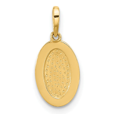 14K Polished Oval with Rope Border Charm