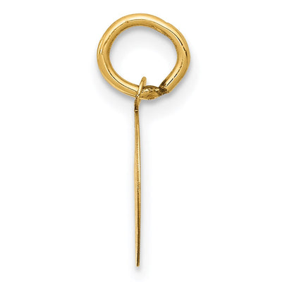 14K Holy Communion Charm, 17 x 11mm