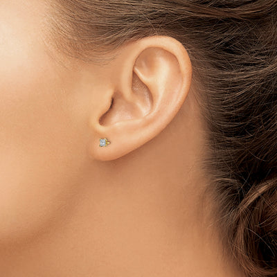 14K AA Quality Complete Princess-cut Diamond Stud Earrings