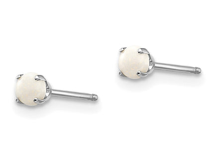 14K white gold opal stud earrings, alternate view