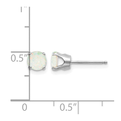 14K White Gold Opal Stud Earrings, 5 x 5mm