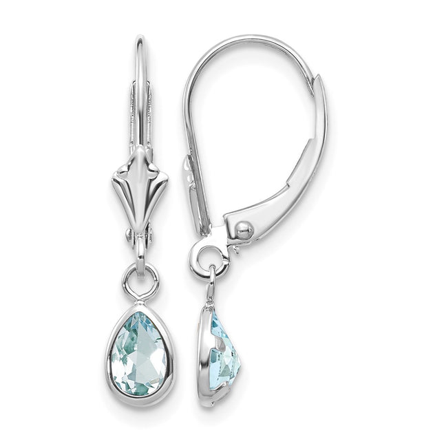 14k White Gold Aquamarine/March Earrings, 23 x 4mm