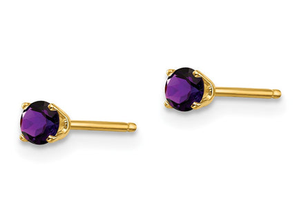 14k February/Amethyst Post Earrings (Style XBE38)
