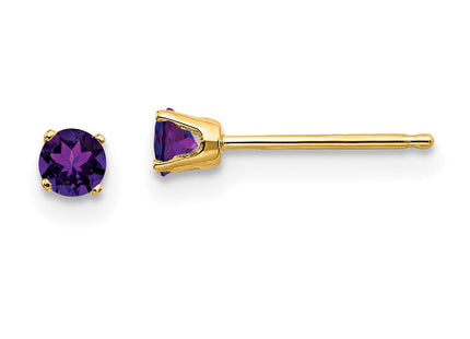 14k February/Amethyst Post Earrings (Style XBE38)