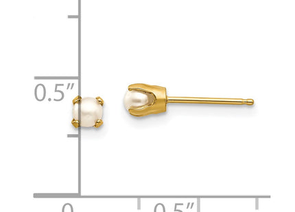 14k Yellow Gold Earrings Style XBE42 - Classique Jewelry Inc.