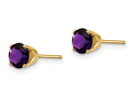 14k Amethyst Earrings - February