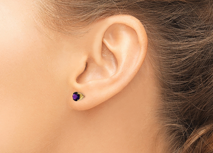 14k Amethyst Earrings - February