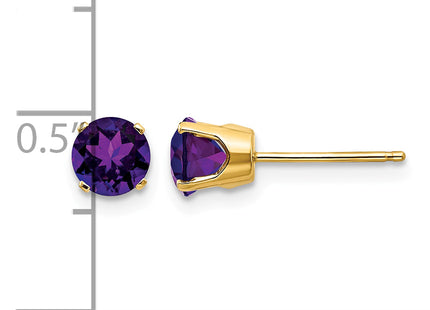 14k Amethyst Earrings - February