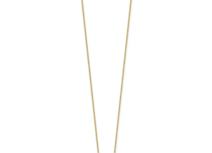 14k Polished Red and Black Enameled Ladybug Necklace Plus Extender