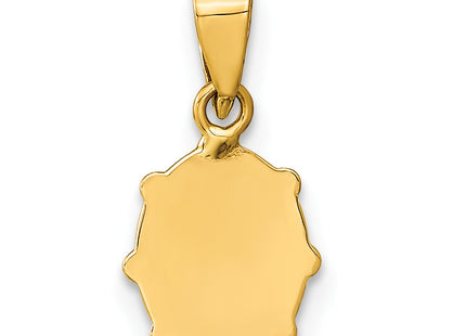 14K Polished Red/Black Enamel Ladybug Pendant, 10 x 8mm