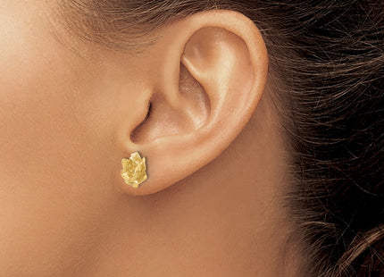 14k Yellow Gold Earrings Style XE15 - Classique Jewelry Inc.