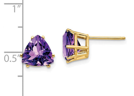 14k Trillion Amethyst Earrings (Style XE96AM)