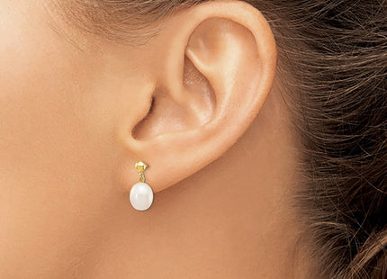 14k Yellow Gold Earrings Style XF250E - Classique Jewelry Inc.