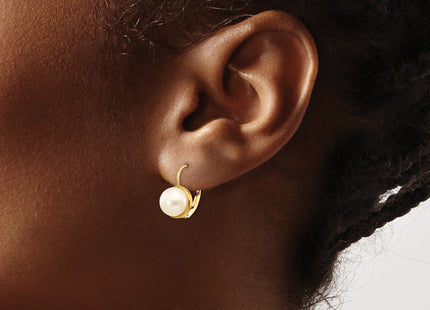 14K 6- White Button Freshwater Cultured Pearl Leverback Earrings