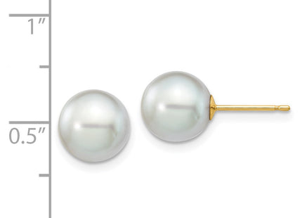 14k Yellow Gold Earrings Style XF292E - Classique Jewelry Inc.
