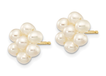 14k Yellow Gold Earrings Style XF298E - Classique Jewelry Inc.