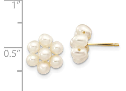 14k Yellow Gold Earrings Style XF298E - Classique Jewelry Inc.