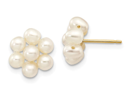 14k Yellow Gold Earrings Style XF298E - Classique Jewelry Inc.