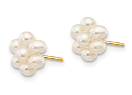 14k Yellow Gold Earrings Style XF299E - Classique Jewelry Inc.