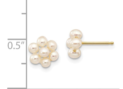 14k Yellow Gold Earrings Style XF299E - Classique Jewelry Inc.