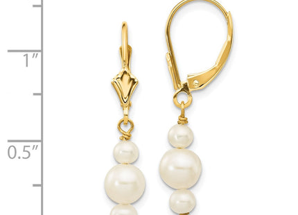 14k Yellow Gold Earrings Style XF436E - Classique Jewelry Inc.