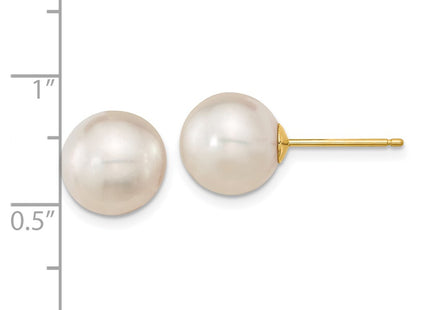 14k Yellow Gold Earrings Style XF469E - Classique Jewelry Inc.