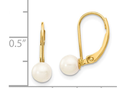 14k Yellow Gold Earrings Style XF479E - Classique Jewelry Inc.