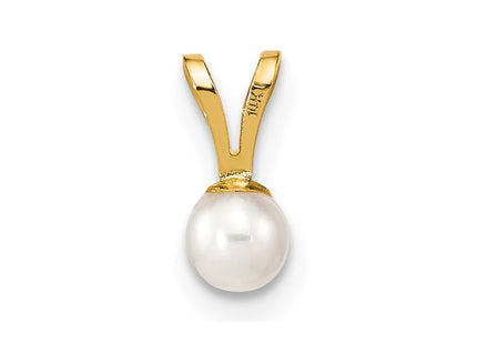 14k Yellow Gold Pendants Style XF518 - Classique Jewelry Inc.