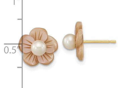 14k Yellow Gold Earrings Style XF592EPWY - Classique Jewelry Inc.