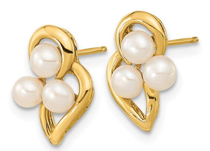 14k Yellow Gold Earrings Style XF602E - Classique Jewelry Inc.