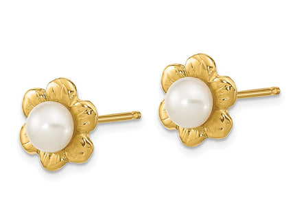 14k Yellow Gold Earrings Style XF617E - Classique Jewelry Inc.