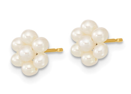 14k Yellow Gold Earrings Style XF618E - Classique Jewelry Inc.