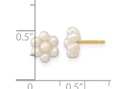 14k Yellow Gold Earrings Style XF618E - Classique Jewelry Inc.