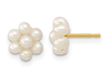 14k Yellow Gold Earrings Style XF618E - Classique Jewelry Inc.