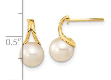14k Yellow Gold Earrings Style XF640E - Classique Jewelry Inc.