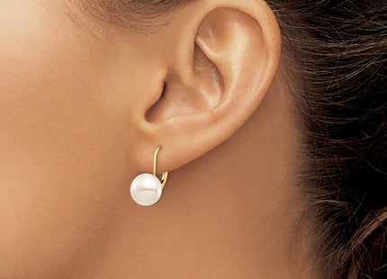 14k Yellow Gold Earrings Style XF716E - Classique Jewelry Inc.