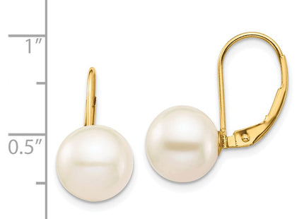 14k Yellow Gold Earrings Style XF717E - Classique Jewelry Inc.