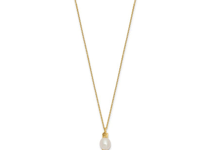 14k Yellow Gold Jewelry Style XF771 - Classique Jewelry Inc.