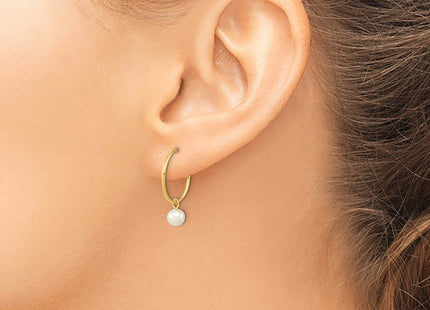 14k Yellow Gold Earrings Style XF794E - Classique Jewelry Inc.