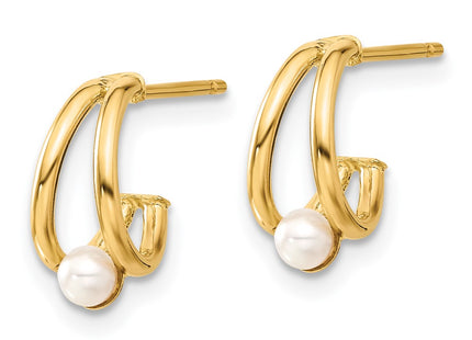 14k Yellow Gold Earrings Style XF797E - Classique Jewelry Inc.